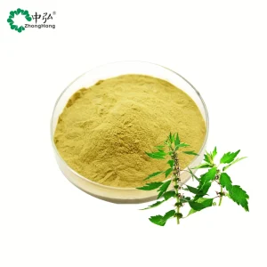 Food Grade Pure Leonurus Extract Powder Chinese Motherwort Herb Liquid Solid Extraction Various Packings Bottle Mason Jar