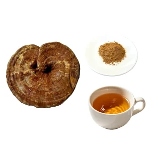 Food Grade Reishi Mushroom Extract Powder 50% Polysaccharides