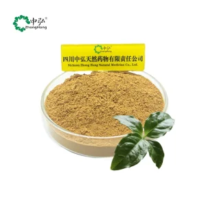 Food Grade Solvent Extracted Andrographolide Powder Andrographis Paniculata Vacuum Packed for Physical Fitness Improvement