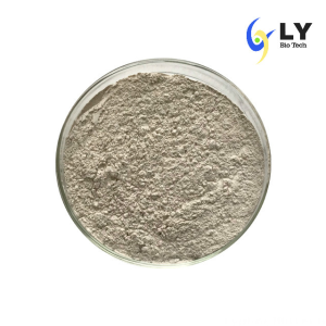 Food and Medicine Grade Phospholipase B 9001 85 8