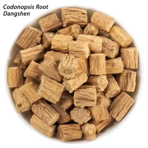 For Chinese Herbs Radix Herba Codonopsis Pilosula Cortex Fructus Dried Bitter Medical Herbs Dang Shen in Bag