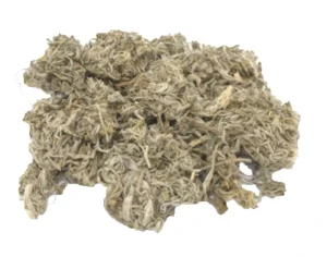 Foreign Trade Capillary Wormwood Powder Capillary Wormwood Herb Capillary Wormwood Herb Extract