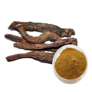 Free Sample Plant Extracts Cynomorium Extract Powder