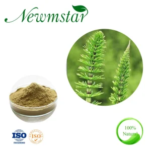 Free Sample of Silica Horsetail Extract Equisetum Arvense L