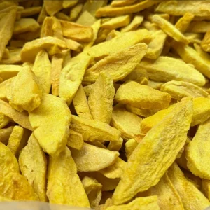 Freeze-Dried Mango Slices