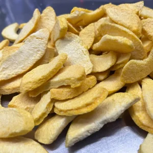 Freeze-Dried Mango Slices (Dried Fruit)
