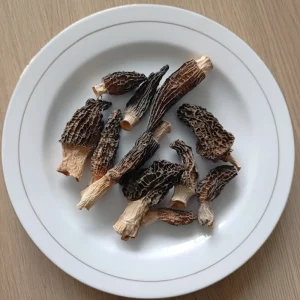French Morel Mushrooms Premium 2-6cm Dried Morels