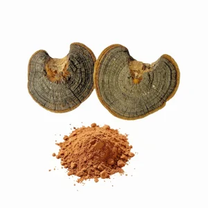 Full Spectrum Extract Huaier Mushroom Extract Powder 30% Polysaccharides