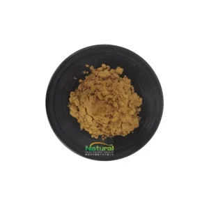 GMP Standard Pure Anemarrhena Asphodeloides Root Powder Food Grade Zhimu Extract Powder