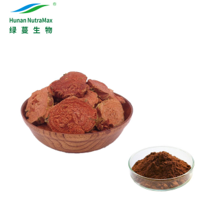 GMP Standard Rhodiola Rosea Extract with Rosavin 4% Salidroside 1% by HPLC