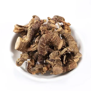Galangal Root Herbal Medicine for Traditional Chinese Wellness Solutions