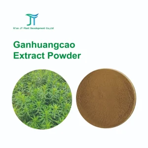 Ganhuangcao Herbal Extract Powder