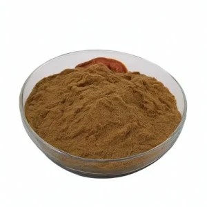 Ganoderma Lucidum Extract 10 1 Water Soluble Reishi Mushroom Extract Produced by Plant Body Extract Factory