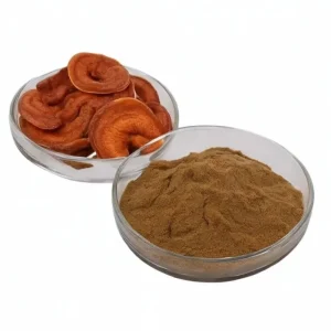 Ganoderma Lucidum Extract Manufacturer Spot Supply Water Soluble Reishi Mushroom Extract