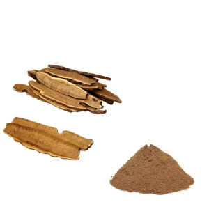 Ganoderma Reishi Mushroom Extract Powder 30% Polysaccharides