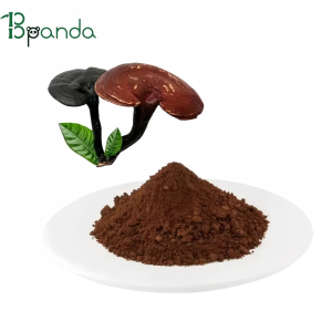Ganoderma Sporule Powder Reishi Mushroom Ganoderma Lucidum Extract