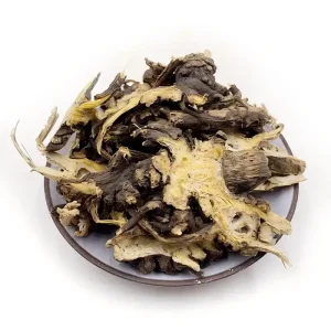 Gao Ben Rhizoma Ligustici Female Health Care Herbal Medicine Chinese Lovage for Natural Supplement