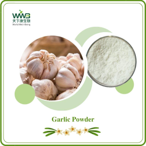 Garlic Powder Pure Powder Garlic Extract Powder Garlic Extract Garlic Instant Powder Alcohol Extracted Garlic Powder 80 Mesh Garlic Extract Powder
