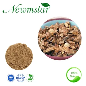 Gentian Root Extract (Gentiana Scabra Bunge) 4:1 10:1 20:1