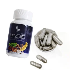 Ginseng Maca Male Herbal Capsules Custom Formula Vitality & Energy Support OEM GMP Factory Bulk