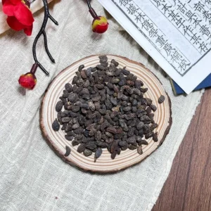 Glossy Privet Fruit Chinese Herbal Medicine for Liver Health