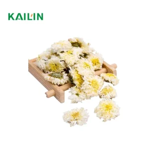 Gongju Chrysanthemum High quality Gongju Premium Tribute Chrysanthemum