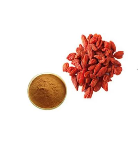 Good Price Quality Herbal Powder Goji Berry Extract Powder with Polysaccharides