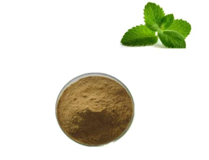 Good Price Quality Herbal Powder Peppermint Extract Powder with 4: 1 10: 1