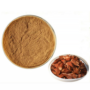 Good Quality 100% Natural Salvia Miltiorrhiza Extract Powder with 10:1 Plant Extract Powder