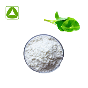Gotu Kola Extract Powder 45% Asiatic Acid