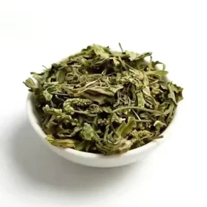 Grade Andrographis Paniculata Dry Herb Chuan Xin Lian Raw Material Chunk Form Plastic Container ISO