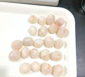Great Quality Canned Lychee Fruit with Various Can Sizes in Season From China Factory