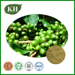Green Coffee Bean Extract 45% 50% Total Chlorogenic Acid