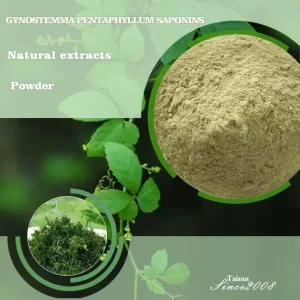 Gynostemma Pentaphyllum Saponins Herbal Extract 80% 98% Gynostemma Saponins Powder for heathy products