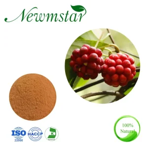 HACCP Certified Plant Extract Eleutheroside5% Schisandra Chinens Extract