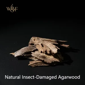 Hainan Insect-Bored Agarwood Chips Natural Oud Material for Incense Burning and Powder Making