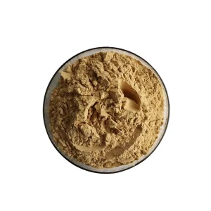 Halal Certified 10:1 Angelica Sinensis Root Extract for Menstrual Comfort and Circulation Support