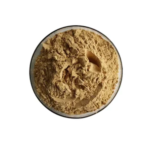 Halal Certified 10:1 Pulmonaria Officinalis Lungwort Herb Extract Water Soluble Soothing Respiratory Supplement Powder