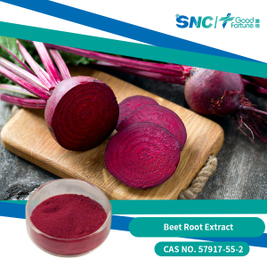 Halal Certified Natural Antioxidant Beet Root Extract for Health Benefits