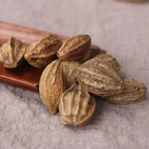 He Zi Chebulae Fructus Fruit Chinese Herbal Products Fruit Seeds High Quality Myrobalan Seed Health Foods for Diet Spices