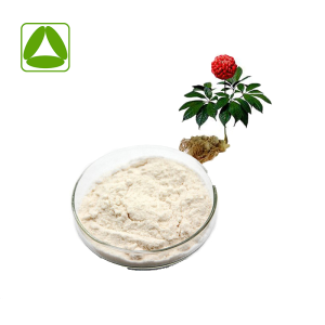 Health Care Product Panax Notoginseng Extract Sanchinoside Powder Sanchi Extract