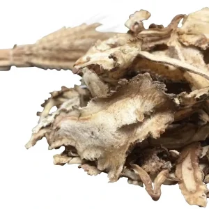Health Care Tea Raw Ingredient Angelica Sinensis Smoke Dried Slice Organic Natural Chinese