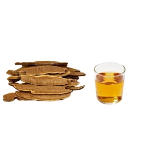 Health Drink Reishi Mushroom Extract Powder 20% Beta Glucan