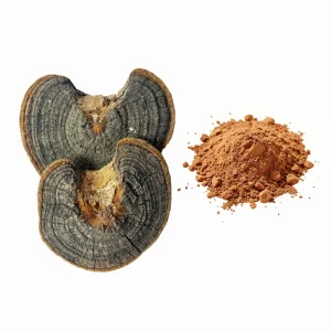 Health Drink Tea Huaier Mushroom Extract Powder 30% Polysaccharides