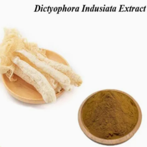 Health Food Natural Herb Dictyophora Indusiata Extract Bamboo Fungus Extract