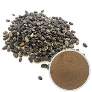 Health Food Natural Herb Fermented Soybean Extract