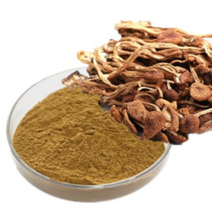 Health Food Natural Herb Plant Extract Tea Tree Mushroom Extract