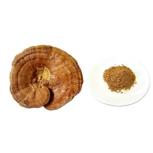 Health Supplement Ganoderma Reishi Mushroom Extract Powder 30% Beta Glucan