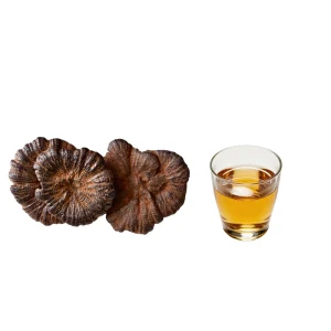 Health Supplement Reishi Mushroom Extract Powder 20% Beta Glucan