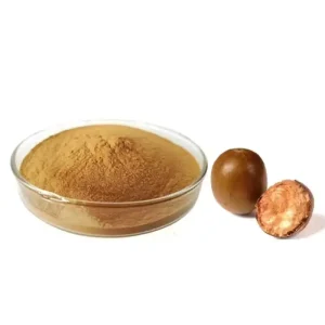 Health Sweet Monk Fruit Extract Luo Han Guo Sweetener Powder Food Grade 80.5% Mogroside Beverage & Candy Use